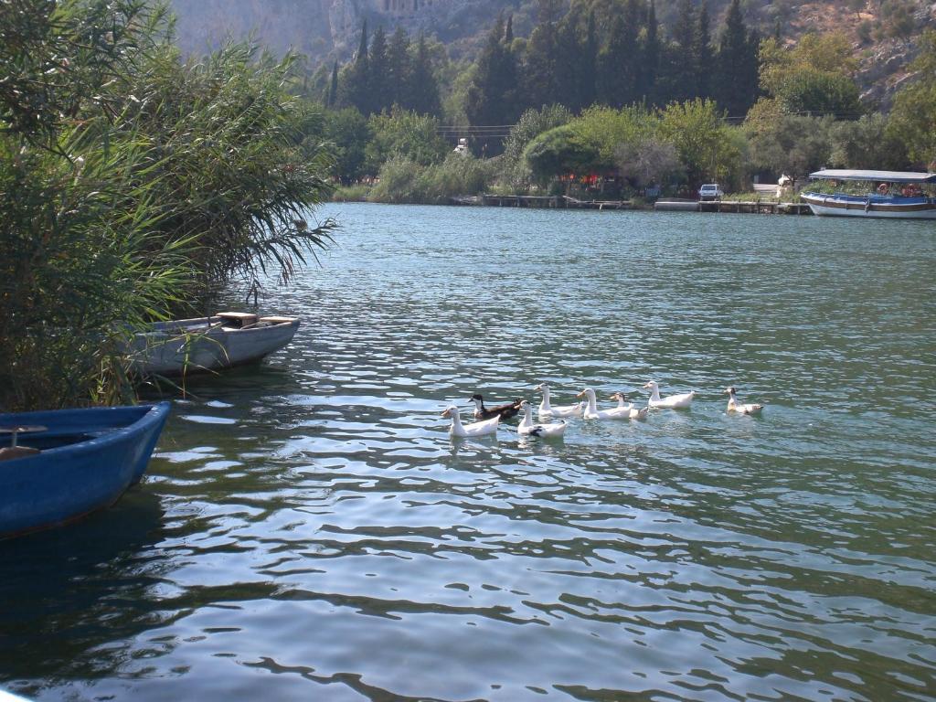 Rose Pension * Dalyan